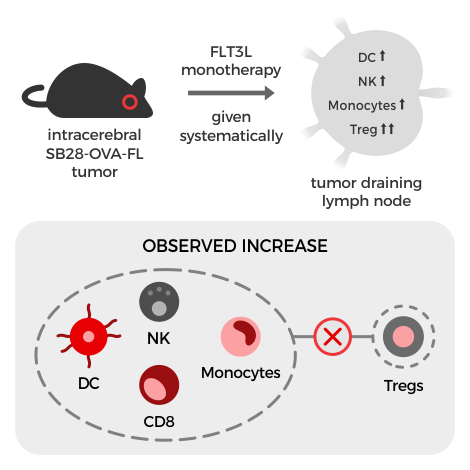 Mass cytometry identifies immune population changes in the tumor draining lymph nodes of mice treated with systemic FLT3L monotherapy