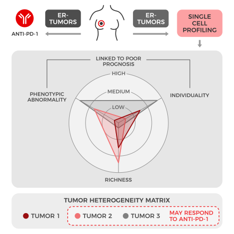 Infographic. At the top center is a torso highlighting a breast tumor. An arrow pointing left towards anti-PD-1 says ER. An arrow pointing right towards the words single cell profiling says ER- tumor. In the center are three concentric circles, with labels at three points, and a series of triangles representing tumor profiles showing degree of each feature present for that tumor. The three features are phenotypic abnormality, individuality, and richness. A label indicates that phenotypic abnormality and individuality are associated with poor prognosis. At the bottom is a legend and we see tumors 2 and 3, both with high richness above, are circled and annotated with the text "may respond to anti-PD-1."