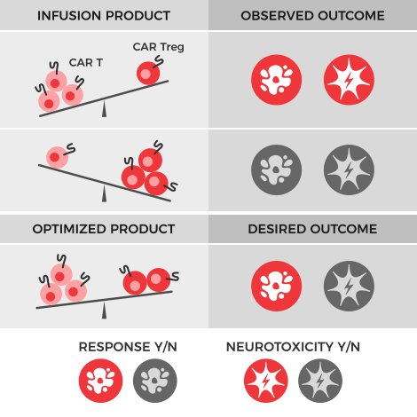 Infographic with three rows, each showing CAR T cells and CAR Tregs balanced on a scale. In the top row, CAR T cells outweigh CAR Tregs. Next to them we see icons representing response and neurotoxicity in bright red indicating the clinical outcome. The second row shows CAR Treg outweighing CAR T cells however in this case both the response and neurotoxicity icons are grayed out indicating neither clinical outcome. The bottom row shows CAR T cells weighing just slightly more than CAR Tregs, with only the response icon in red and the neurotoxicity icon grayed out, indicating a balance leaning towards response but without neurotoxicity.